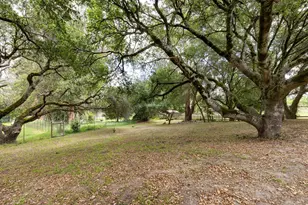 520 Fair Ave, Petaluma, CA 94952 - Photo 24