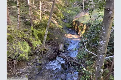 10225 Low Gap Road, Ukiah, CA 95482 - Photo 4