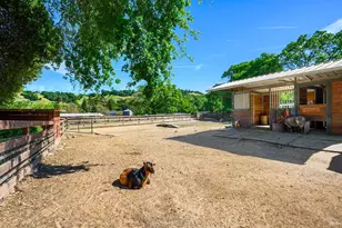 15 Wildwood Ln, Novato, CA 94947 - Photo 74