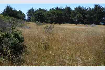200 Headlands Close, The Sea Ranch, CA 95497 - Photo 10
