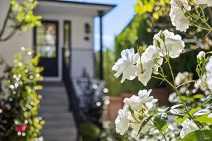 31 Alvarado Ave, Mill Valley, CA 94941 - Photo 20