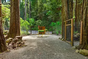 15607 Old Cazadero Rd, Guerneville, CA 95446 - Photo 42