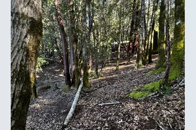 24278 Tulip Drive, Willits, CA 95490 - Photo 8