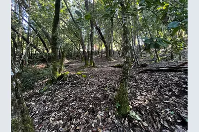 24278 Tulip Drive, Willits, CA 95490 - Photo 6