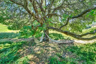 3922 Putah Ridge Trail, Winters, CA 95694 - Photo 66