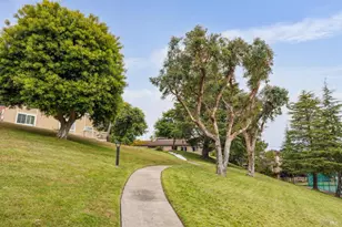 17 Thoreau Cir, Mill Valley, CA 94941 - Photo 38