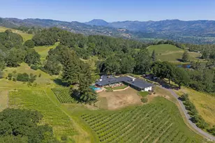 1975 Whitehall Ln, Saint Helena, CA 94574 - Photo 2
