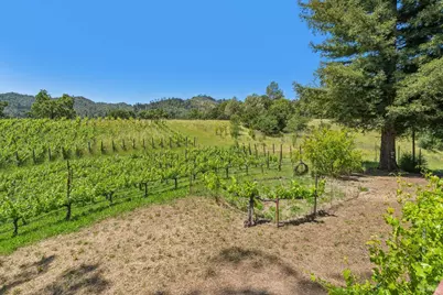 1975 Whitehall Lane, Saint Helena, CA 94574 - Photo 56