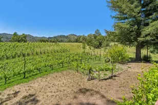 1975 Whitehall Ln, Saint Helena, CA 94574 - Photo 56
