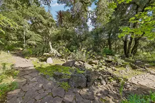 2515 Stepps Rd, Sebastopol, CA 95472 - Photo 72