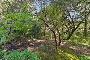 2515 Stepps Rd, Sebastopol, CA 95472 - Photo 66