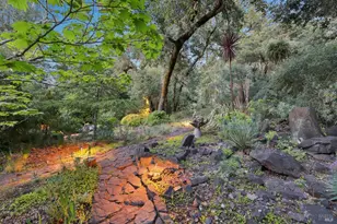 2515 Stepps Rd, Sebastopol, CA 95472 - Photo 52