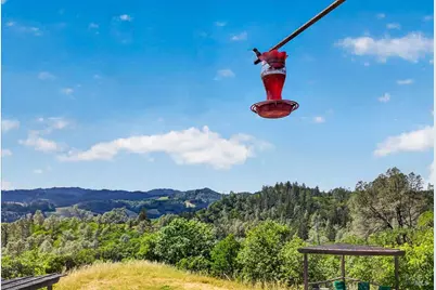 23881 Walling Road, Geyserville, CA 95441 - Photo 22