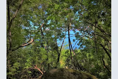 9555 State Hwy 281, Kelseyville, CA 95451 - Photo 10