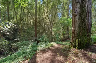 11910 Graton Rd, Sebastopol, CA 95472 - Photo 62