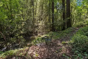 11910 Graton Rd, Sebastopol, CA 95472 - Photo 64