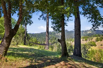 28812 Bohan Dillon Road, Cazadero, CA 95421 - Photo 20