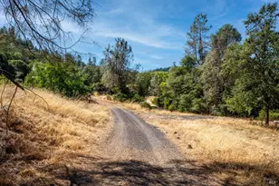 34010 Shimmins Ridge Rd, Willits, CA 95490 - Photo 36