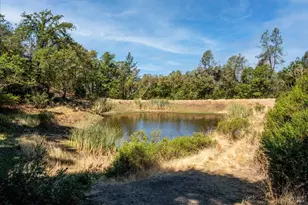34010 Shimmins Ridge Rd, Willits, CA 95490 - Photo 24