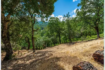 0 Sorrell Court, Napa, CA 94558 - Photo 10