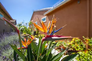 239 Harvest Hills Ln, Rio Vista, CA 94571 - Photo 6