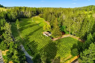 425 Cold Springs Rd, Angwin, CA 94508 - Photo 2