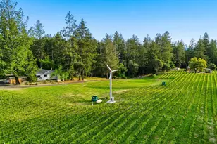 425 Cold Springs Rd, Angwin, CA 94508 - Photo 4