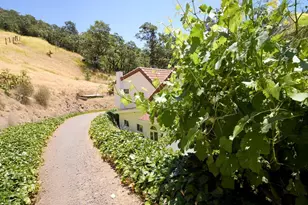 19400 Scenic Dr, Redwood Valley, CA 95470 - Photo 66