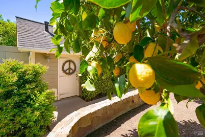 4500 Redwood Road, Napa, CA 94558 - Photo 66
