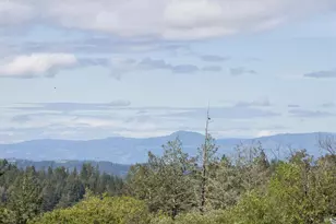 11740 Occidental Rd, Sebastopol, CA 95472 - Photo 4