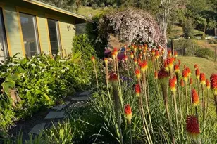 1455 Oak Knoll Rd, Ukiah, CA 95482 - Photo 56