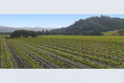1300 Yount Mill Road, Napa, CA 94558 - Photo 6
