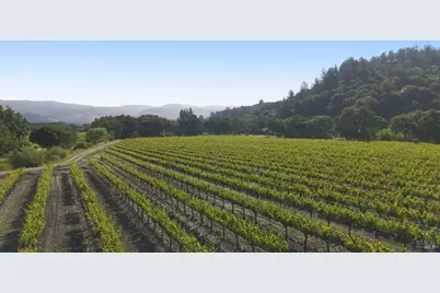 1300 Yount Mill Road, Napa, CA 94558 - Photo 8