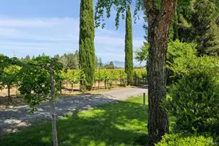 1633 Dry Creek Rd, Healdsburg, CA 95448 - Photo 48
