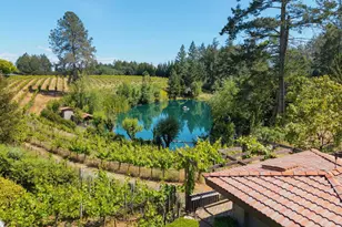 1633 Dry Creek Rd, Healdsburg, CA 95448 - Photo 58