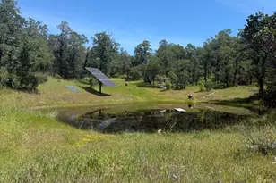80540 Mina Rd, Covelo, CA 95428 - Photo 10