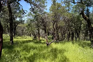 80540 Mina Rd, Covelo, CA 95428 - Photo 18