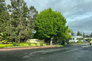 260 English Flag Way, Sonoma, CA 95476 - Photo 10