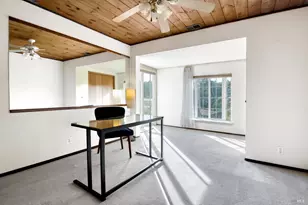 320 Dolan Ave, Mill Valley, CA 94941 - Photo 18