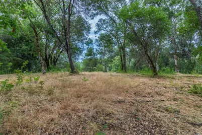 253 Forsythe Drive, Redwood Valley, CA 95470 - Photo 26
