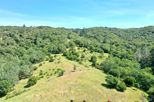 5143 Dry Creek Rd, Healdsburg, CA 95448 - Photo 70