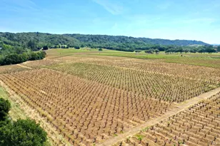 5143 Dry Creek Rd, Healdsburg, CA 95448 - Photo 58