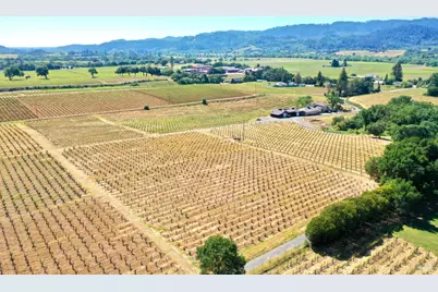 5143 Dry Creek Road, Healdsburg, CA 95448 - Photo 60