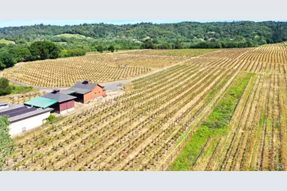 5143 Dry Creek Road, Healdsburg, CA 95448 - Photo 54