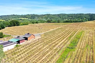 5143 Dry Creek Rd, Healdsburg, CA 95448 - Photo 54