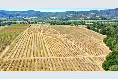 5143 Dry Creek Road, Healdsburg, CA 95448 - Photo 68