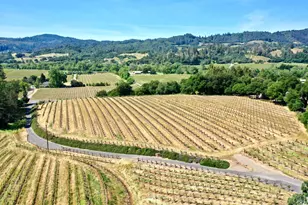 5143 Dry Creek Rd, Healdsburg, CA 95448 - Photo 8