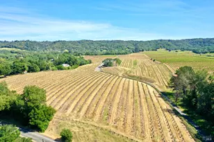 5143 Dry Creek Rd, Healdsburg, CA 95448 - Photo 62