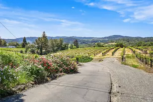 5143 Dry Creek Rd, Healdsburg, CA 95448 - Photo 82