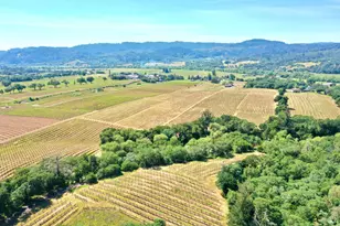 5143 Dry Creek Rd, Healdsburg, CA 95448 - Photo 6